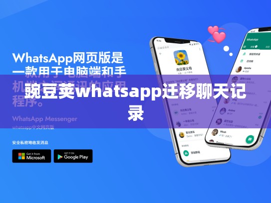 豌豆荚whatsapp迁移聊天记录