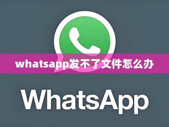 whatsapp发不了文件怎么办