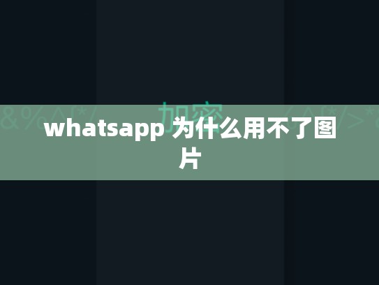 whatsapp 为什么用不了图片