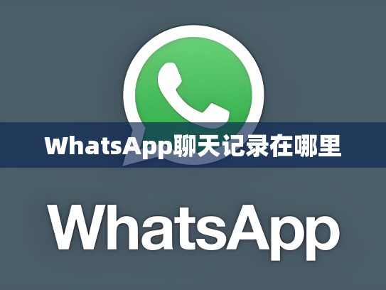 WhatsApp聊天记录在哪里