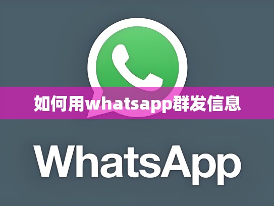 如何用whatsapp群发信息