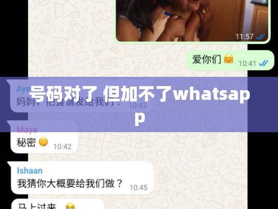 号码对了 但加不了whatsapp
