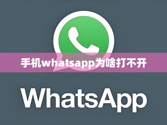 手机whatsapp为啥打不开