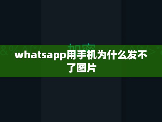whatsapp用手机为什么发不了图片