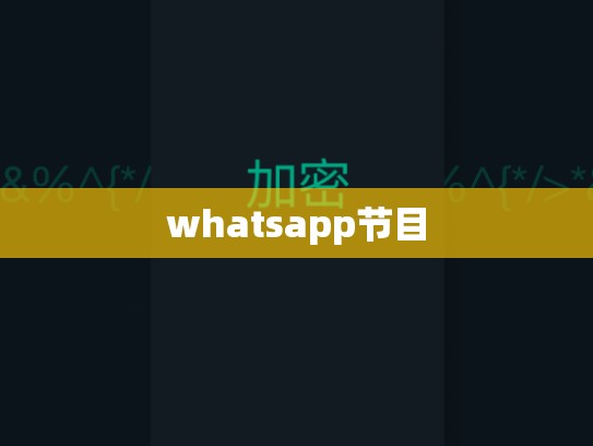 whatsapp节目