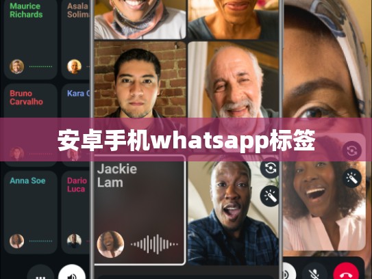 安卓手机whatsapp标签