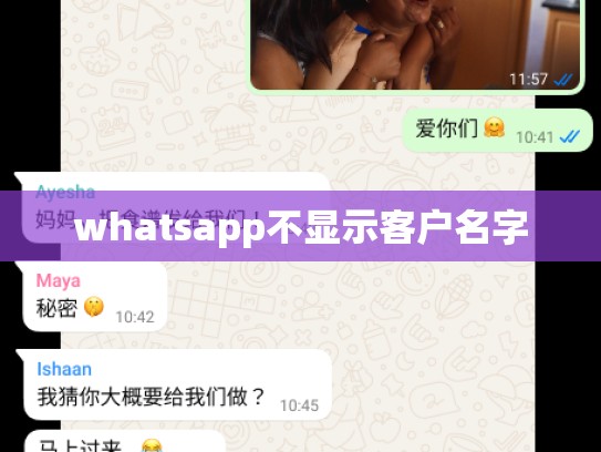 whatsapp不显示客户名字