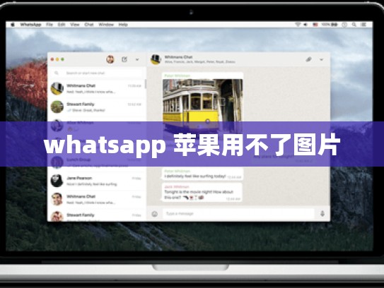 whatsapp 苹果用不了图片