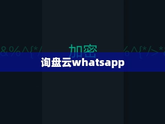 询盘云whatsapp