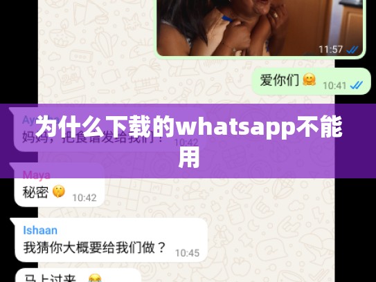 为什么下载的whatsapp不能用