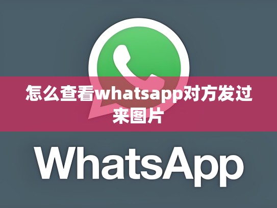 怎么查看whatsapp对方发过来图片