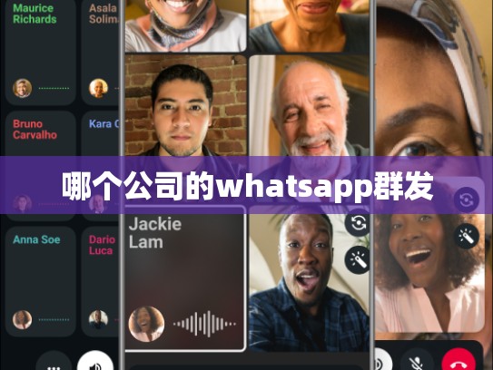 哪个公司的whatsapp群发