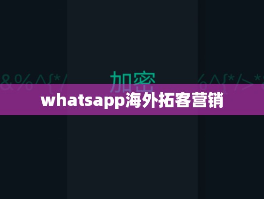 whatsapp海外拓客营销