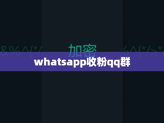 whatsapp收粉qq群