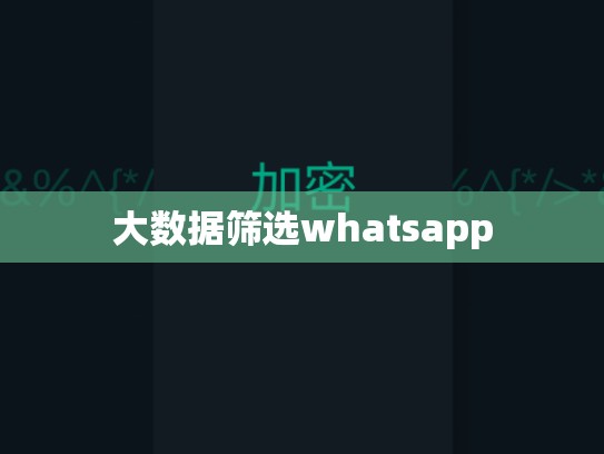 大数据筛选whatsapp