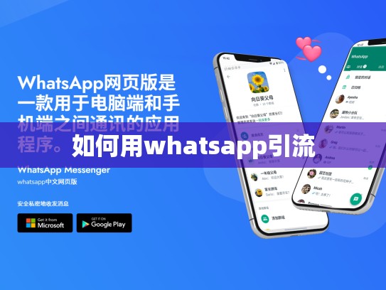 如何用whatsapp引流