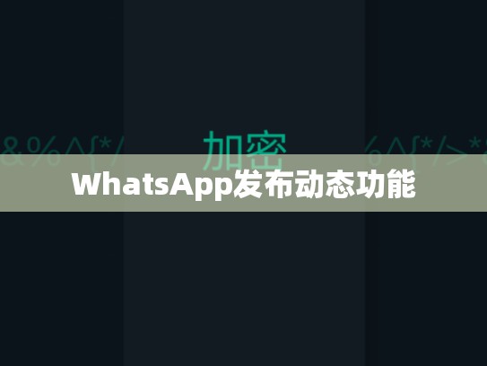 WhatsApp发布动态功能