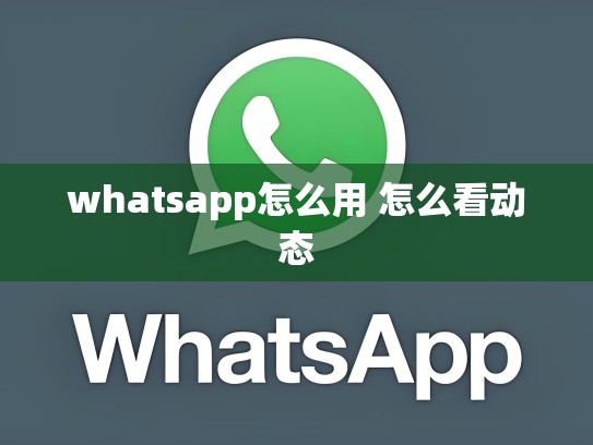 whatsapp怎么用 怎么看动态