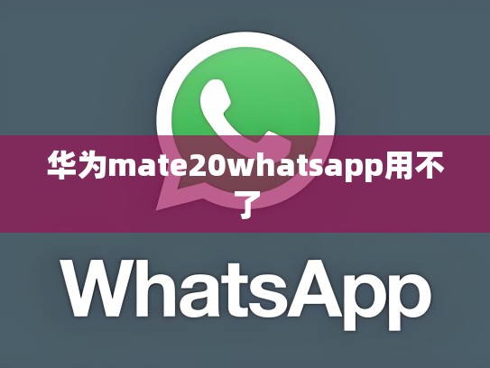 华为mate20whatsapp用不了