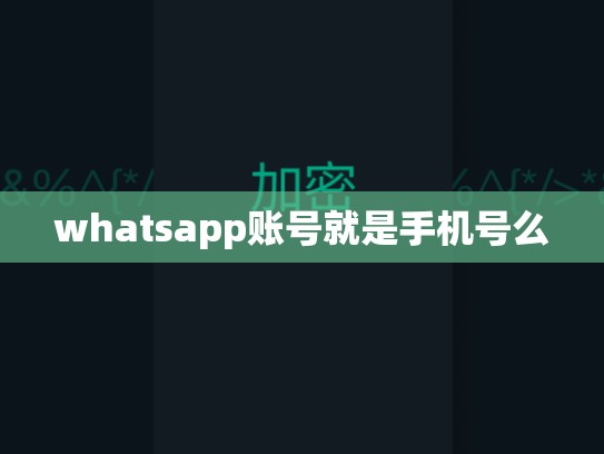 whatsapp账号就是手机号么