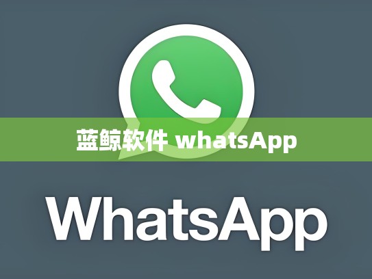 蓝鲸软件 whatsApp