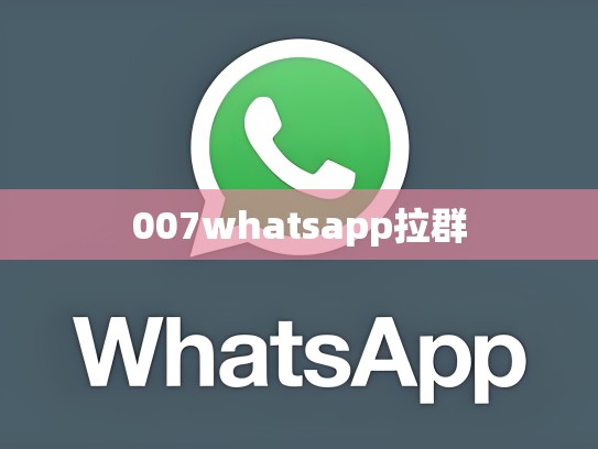 007whatsapp拉群