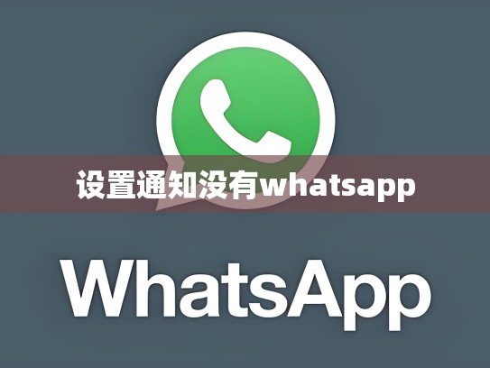设置通知没有whatsapp