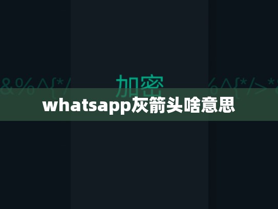 whatsapp灰箭头啥意思