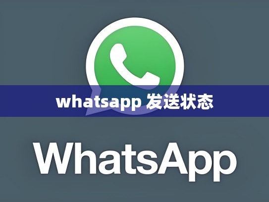 whatsapp 发送状态