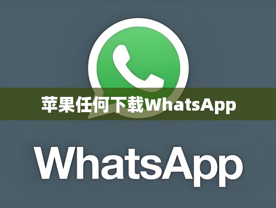 苹果任何下载WhatsApp