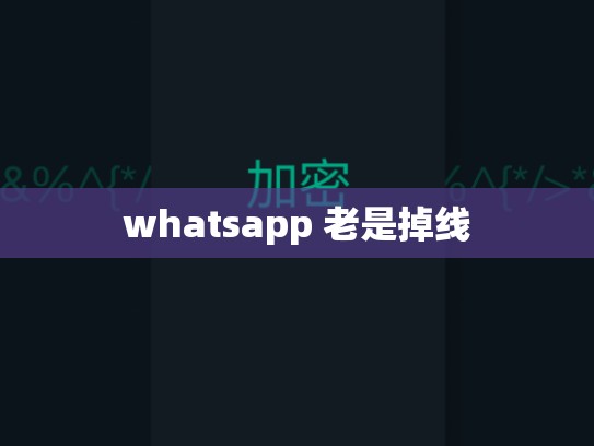 whatsapp 老是掉线