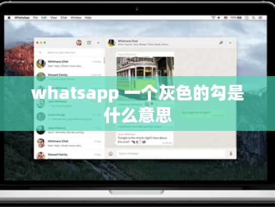 whatsapp 一个灰色的勾是什么意思