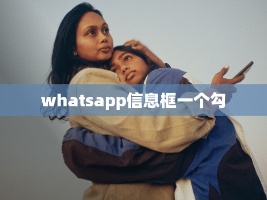 whatsapp信息框一个勾
