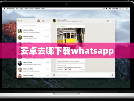 安卓去哪下载whatsapp