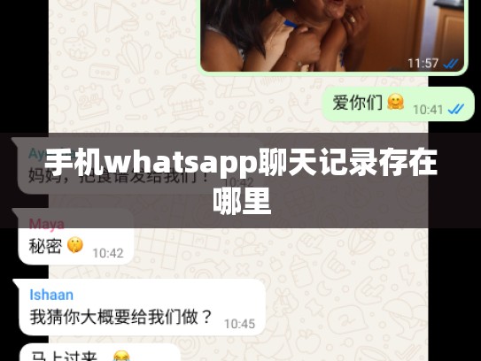 手机whatsapp聊天记录存在哪里