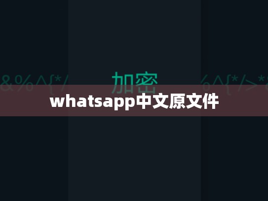 whatsapp中文原文件