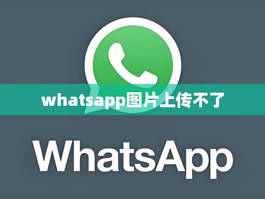 whatsapp图片上传不了