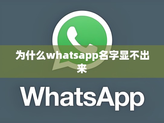 为什么whatsapp名字显不出来