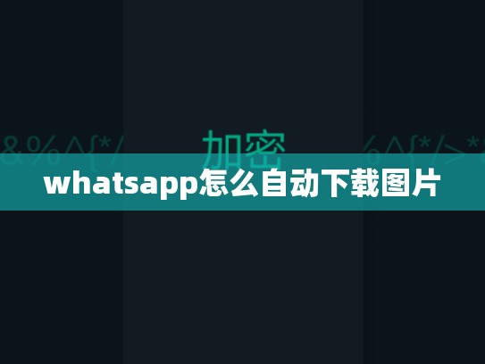 whatsapp怎么自动下载图片
