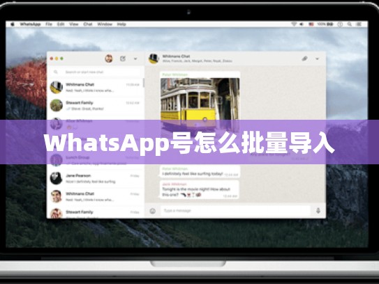 WhatsApp号怎么批量导入