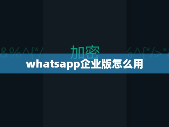 whatsapp企业版怎么用