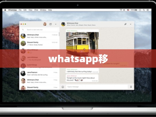whatsapp移