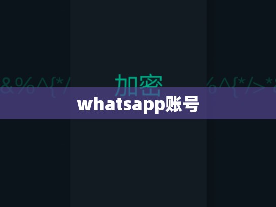 whatsapp账号