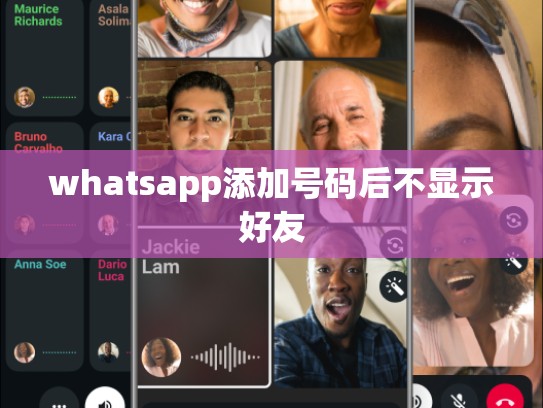 whatsapp添加号码后不显示好友
