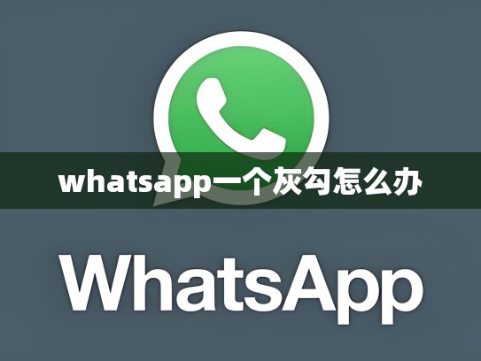whatsapp一个灰勾怎么办
