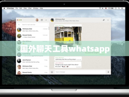 国外聊天工具whatsapp