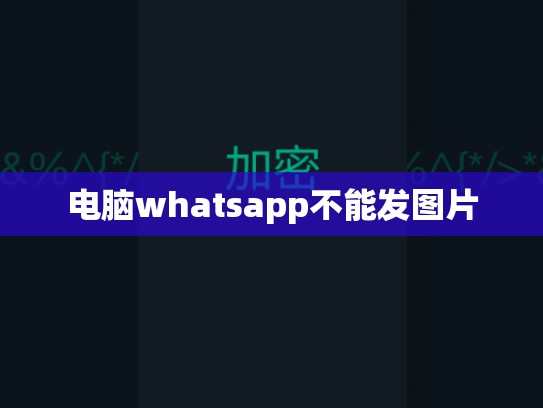 电脑whatsapp不能发图片