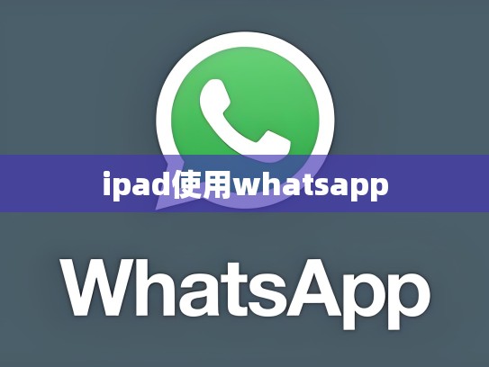 ipad使用whatsapp