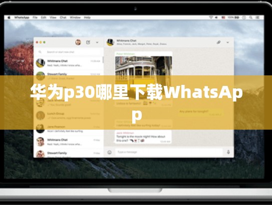 华为p30哪里下载WhatsApp