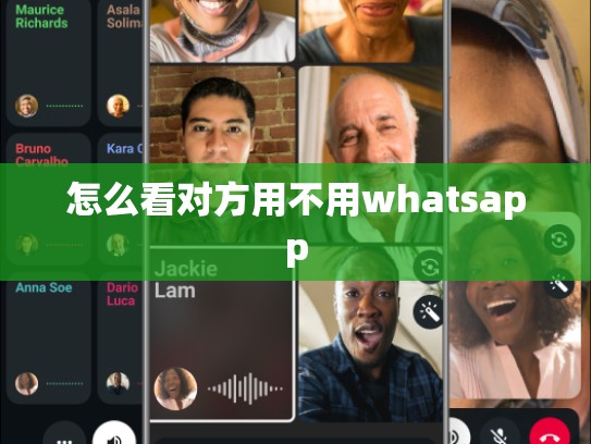 怎么看对方用不用whatsapp